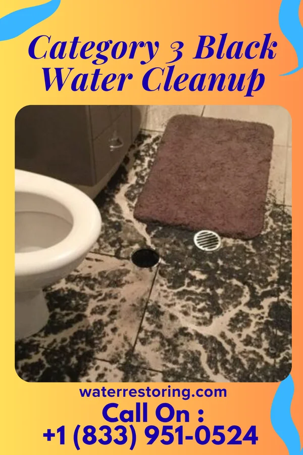 Category 3 Black Water Cleanup in Oak Grove, KY