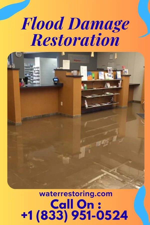 Flood Damage Restoration in Oak Grove, KY