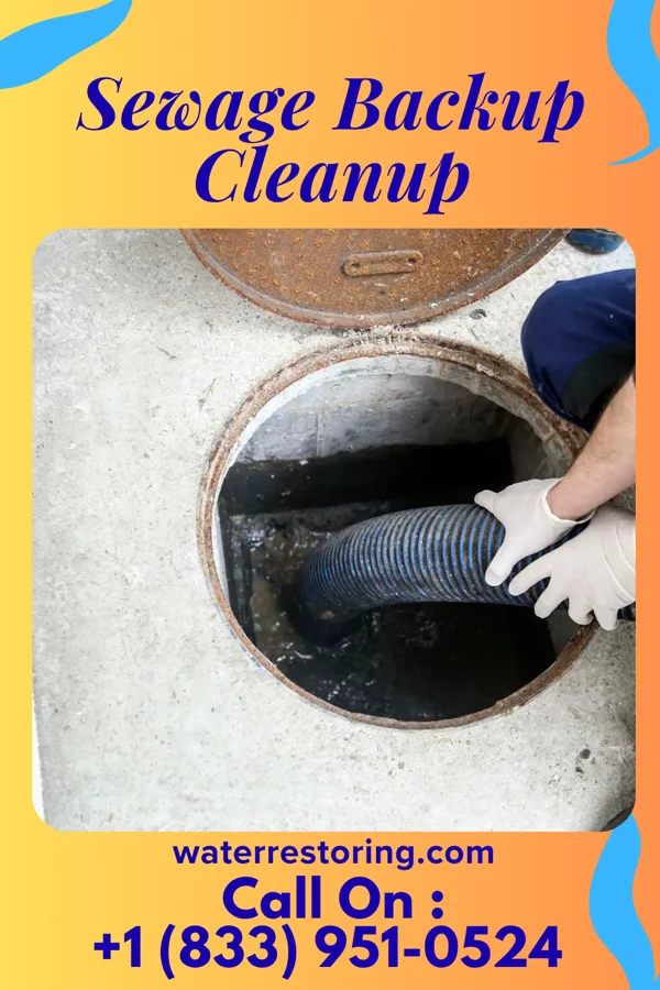 Sewage Backup Cleanup in Oak Grove, KY