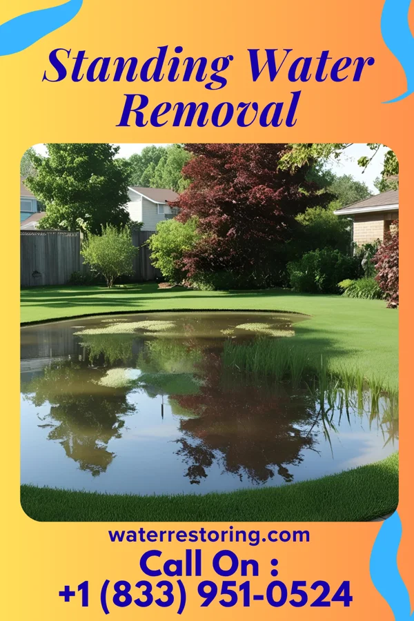 Standing Water Removal in Oak Grove, KY